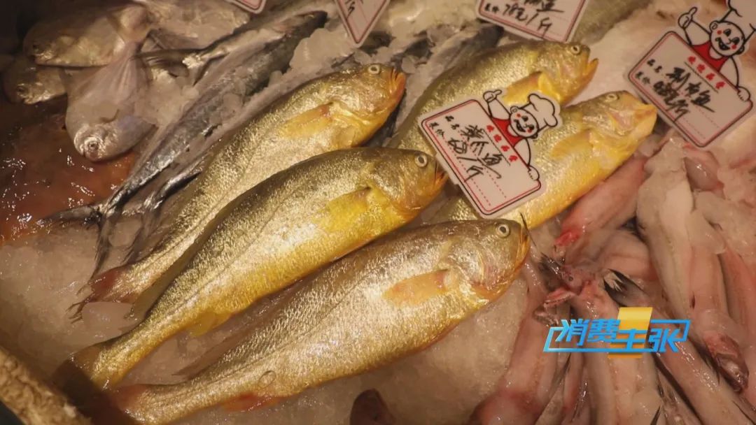 霞浦的海鲜真是便宜又好吃,霞浦真正便宜好吃的海鲜哪里吃