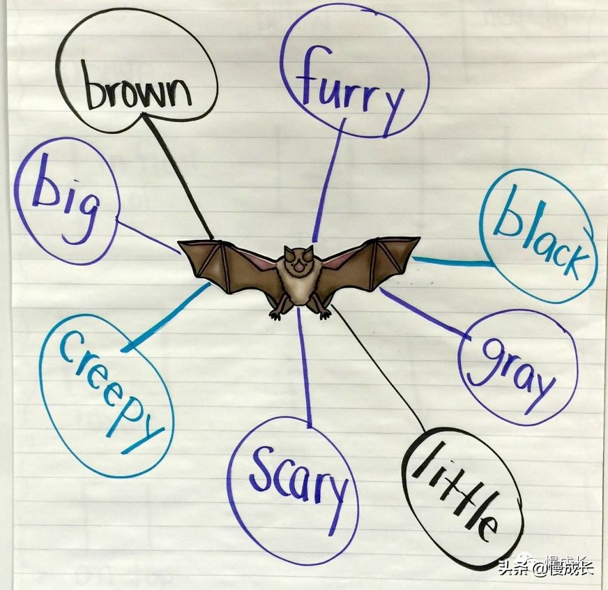 思维导图简单大方,思维导图不容错过