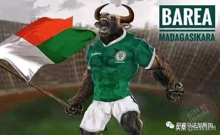 ​AlefaBarea！这到底是什么意思？|马达小科普