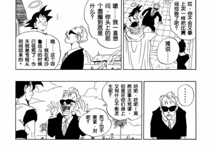 龙珠武道大会裁判有多强,龙珠中的第一武道会
