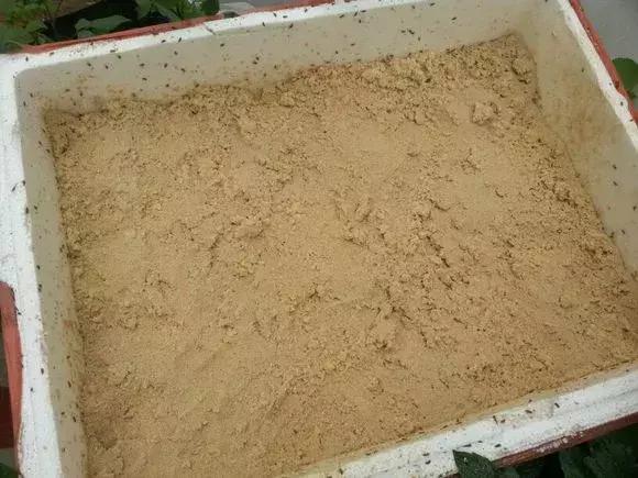 养花的盆要不要戳些洞,养花小知识小技巧大全图解