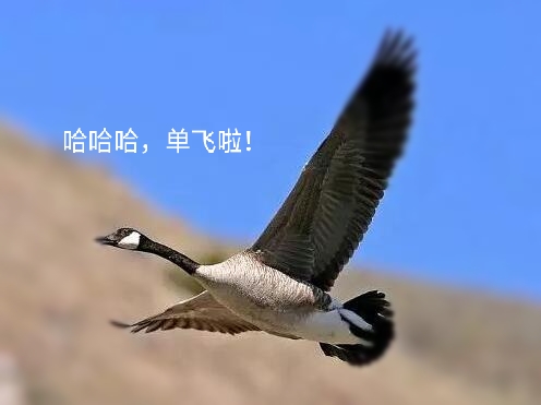 鞠婧祎甜美仙气图片,鞠婧祎甜美霸气系列