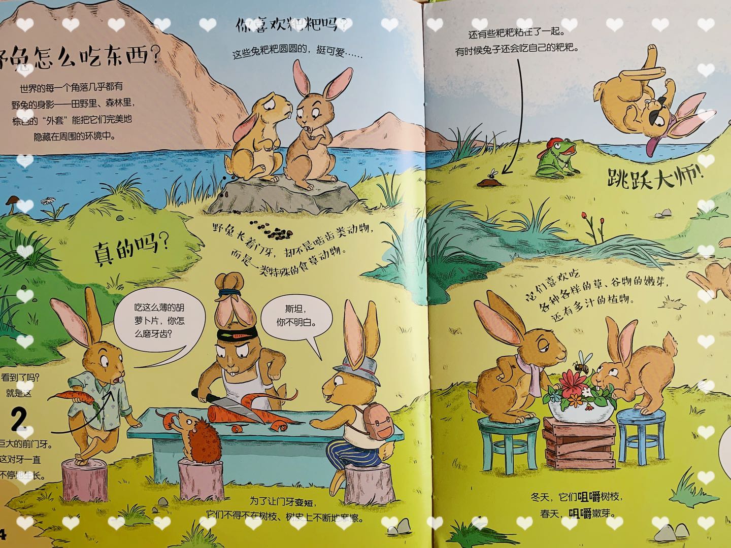 一起来观看动物界的“吃播”吧