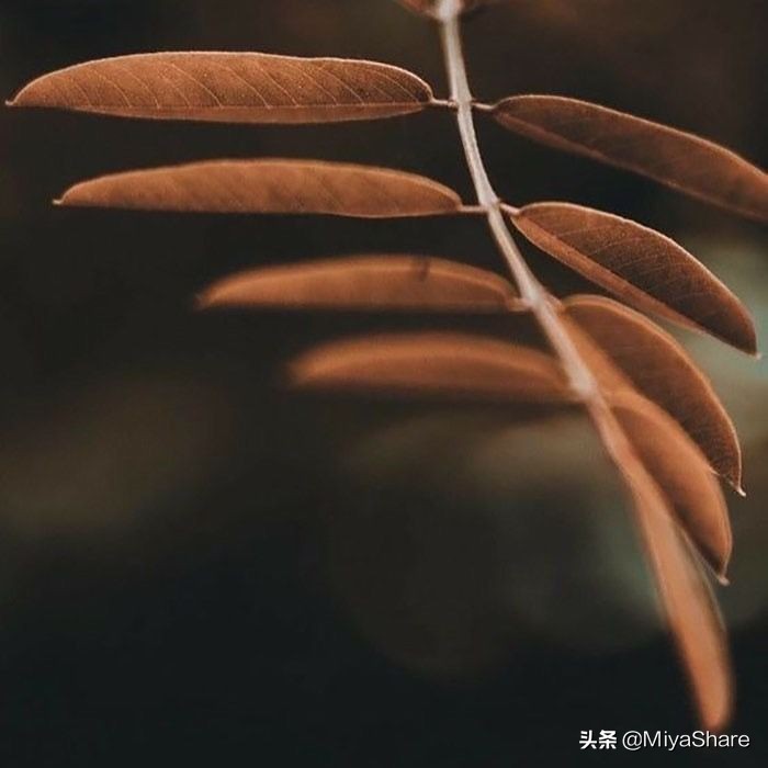 满满高级感超显白的奶茶色,奶茶色才是时尚榜一霸好看显气质