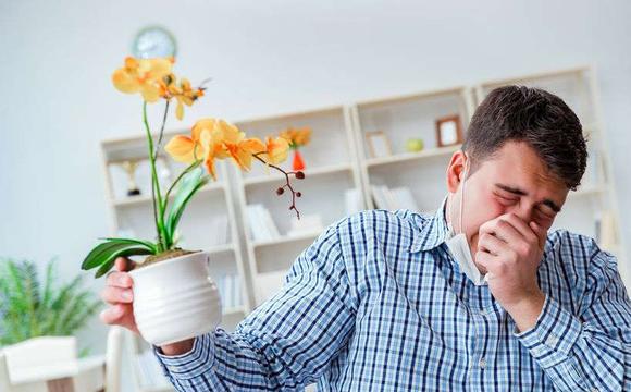 未来十年能彻底逆转过敏性鼻炎吗,全球过敏性鼻炎以后会攻克吗