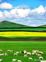 收藏各省老酒,收藏全国各地的牌子