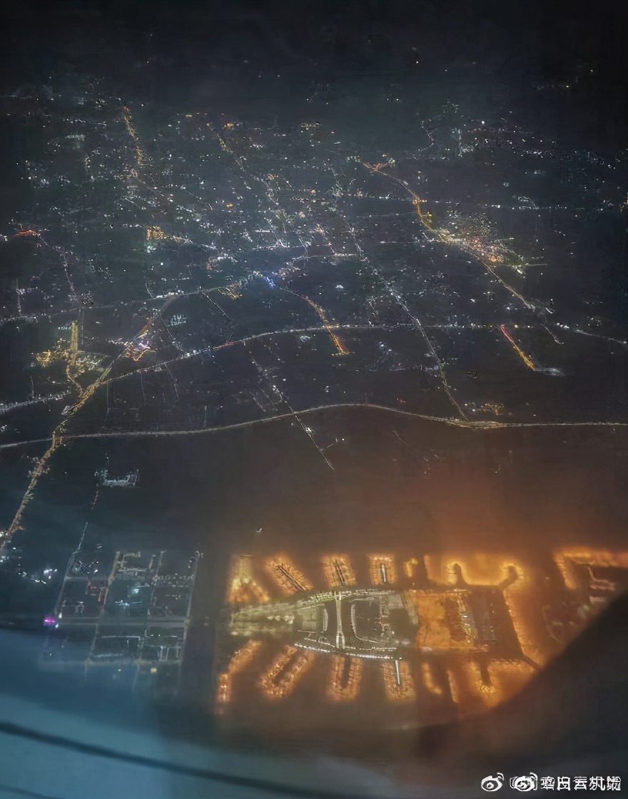 南方蟑螂和北方蟑螂对比恶搞,南方大蟑螂吓哭北方人