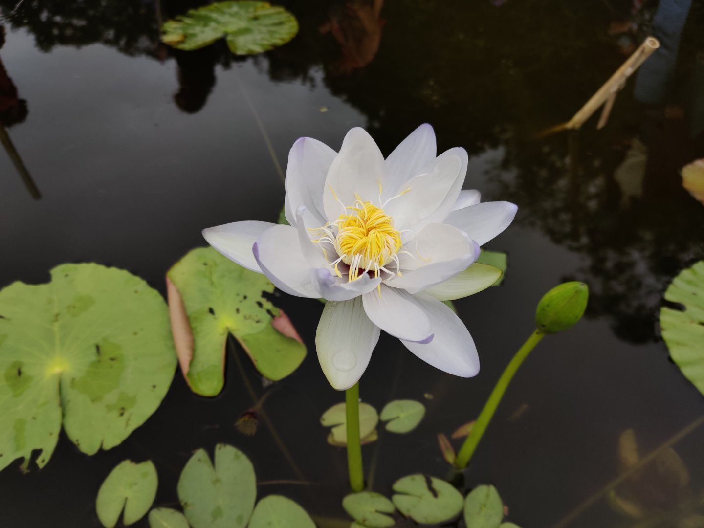 自媒体新手感想感悟简短,自媒体亲身经历感悟作文