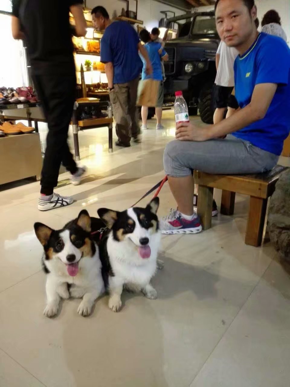 打卡食草堂,打卡素食茶馆餐厅