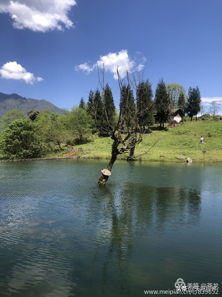 四川黑竹沟之谜,四川黑竹沟探险之旅