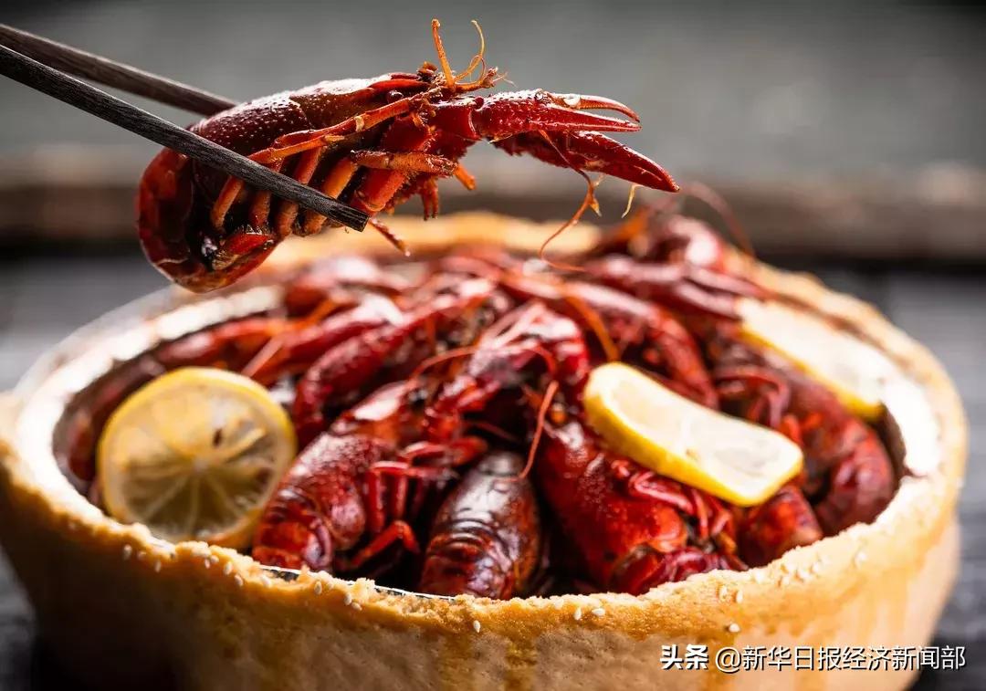 最新养殖小龙虾价格走势,小龙虾养殖及价格行情