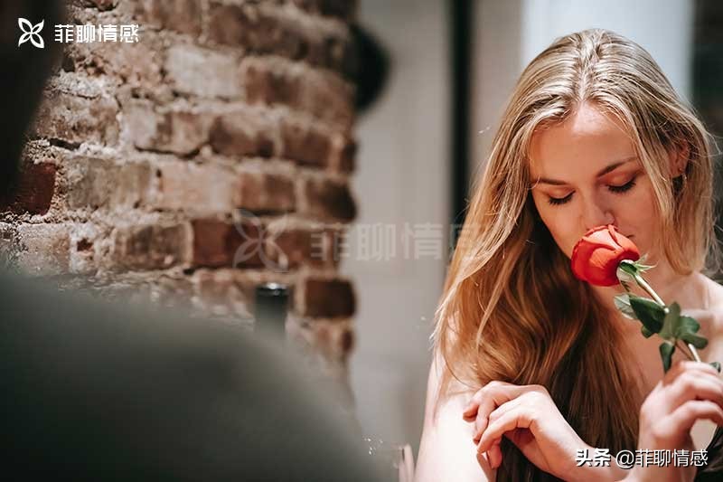 每个人都应该从企鹅（是的，企鹅）身上学到15堂爱情课