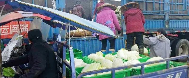 盛大金禧战略合作伙伴，家边购实业集团向武汉输送二十吨蔬菜