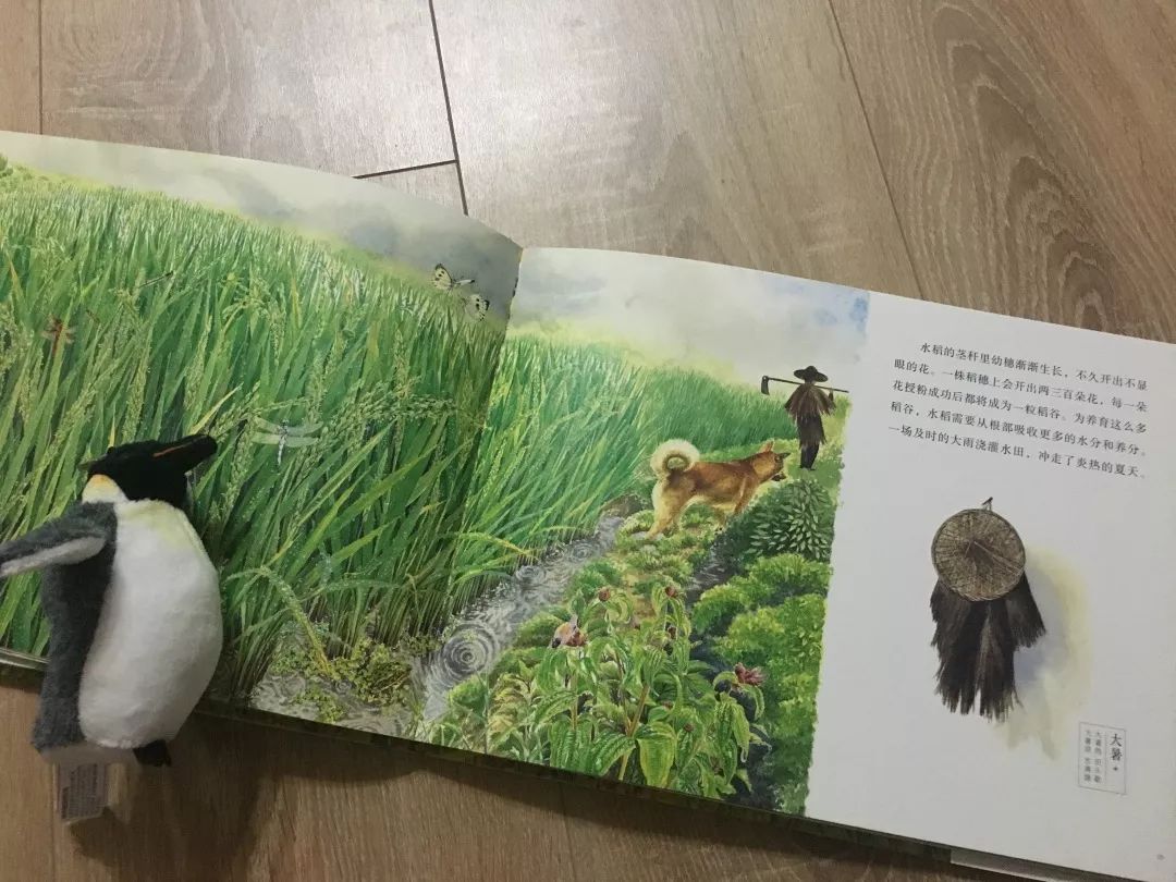 这8套大师级的中国原创绘本，用动画般的画面让孩子目不转睛