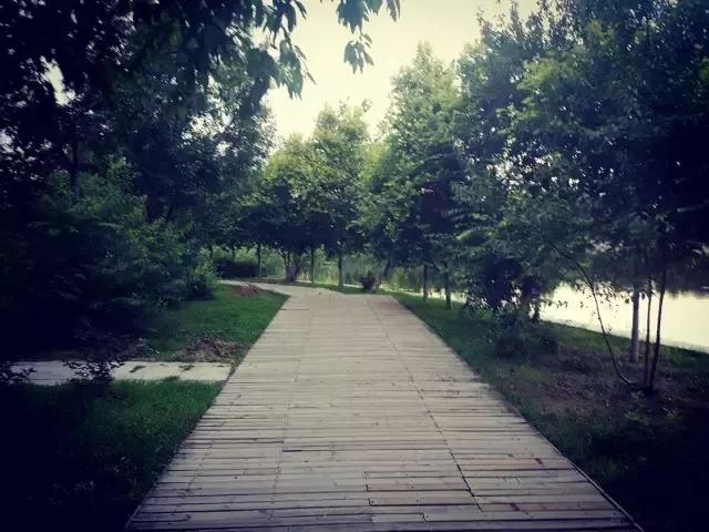 辽宁中医药大学杏林学院有独卫吗,辽宁中医药大学杏林学院属于3+2吗