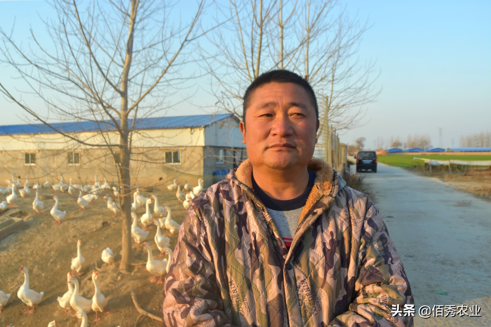 农村5类特点养殖,农村养殖哪种模式最靠谱