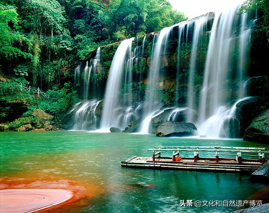 世界自然遗产赤水桫椤植物,赤水世界文化遗产