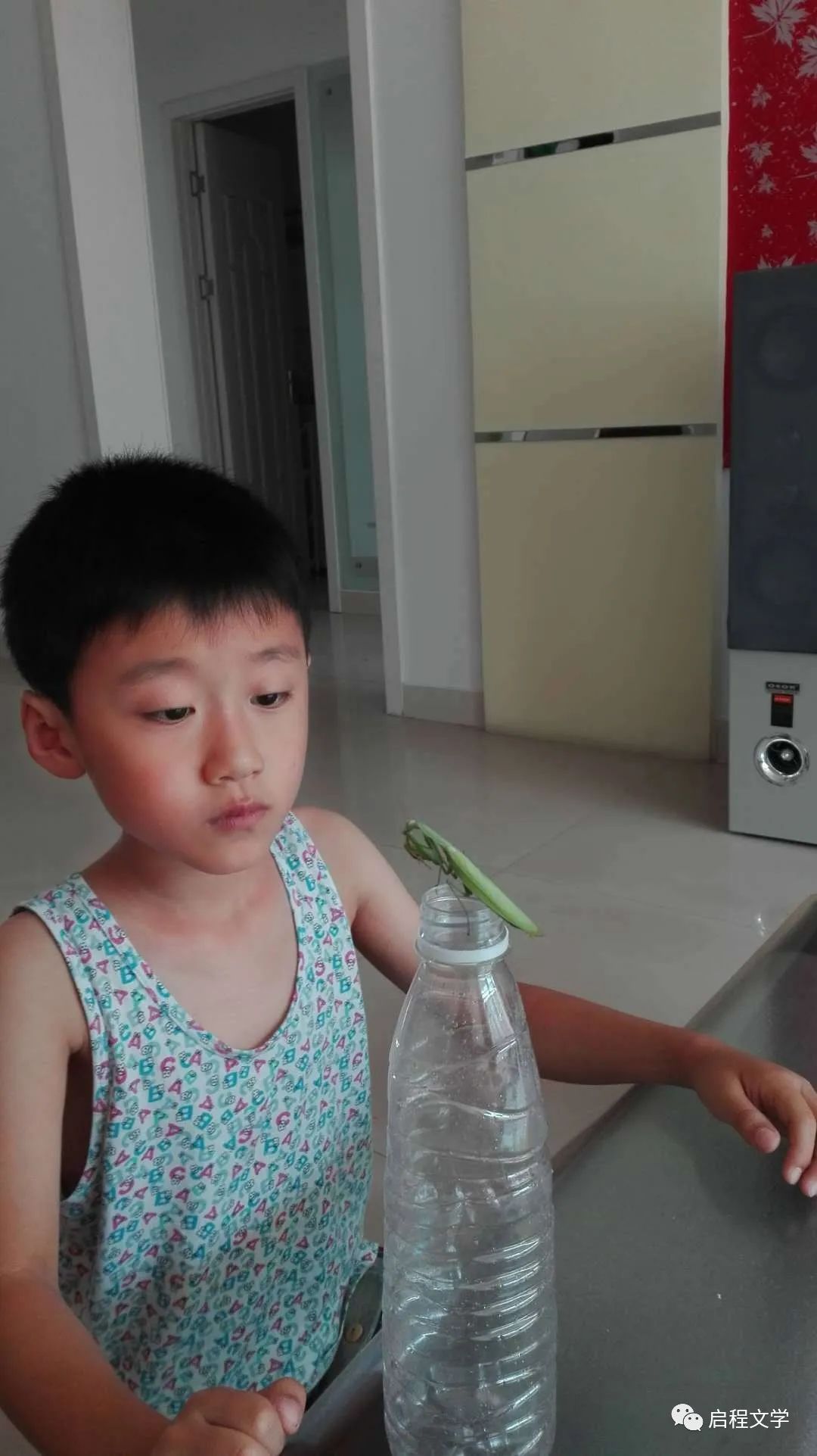 刘世英‖我的小外孙