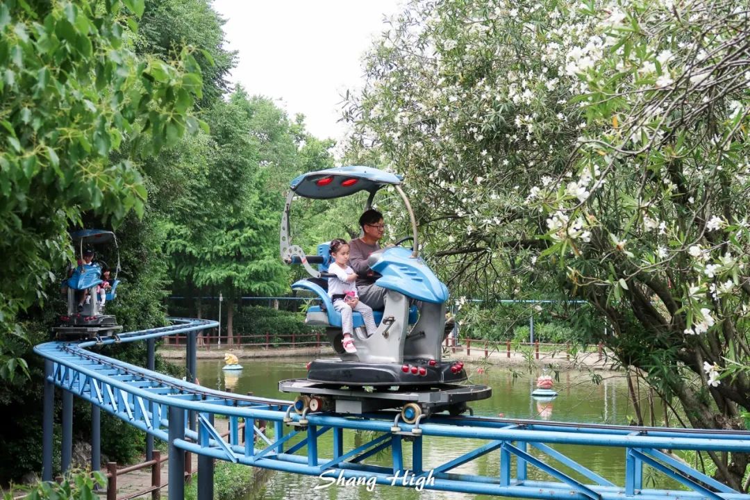 和平公园动物岛还有吗,和平公园可以喂动物吗