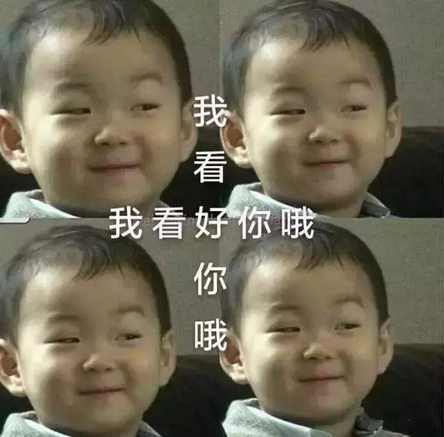 谢飞机随身携带的小绿包,谢飞机表情包视频