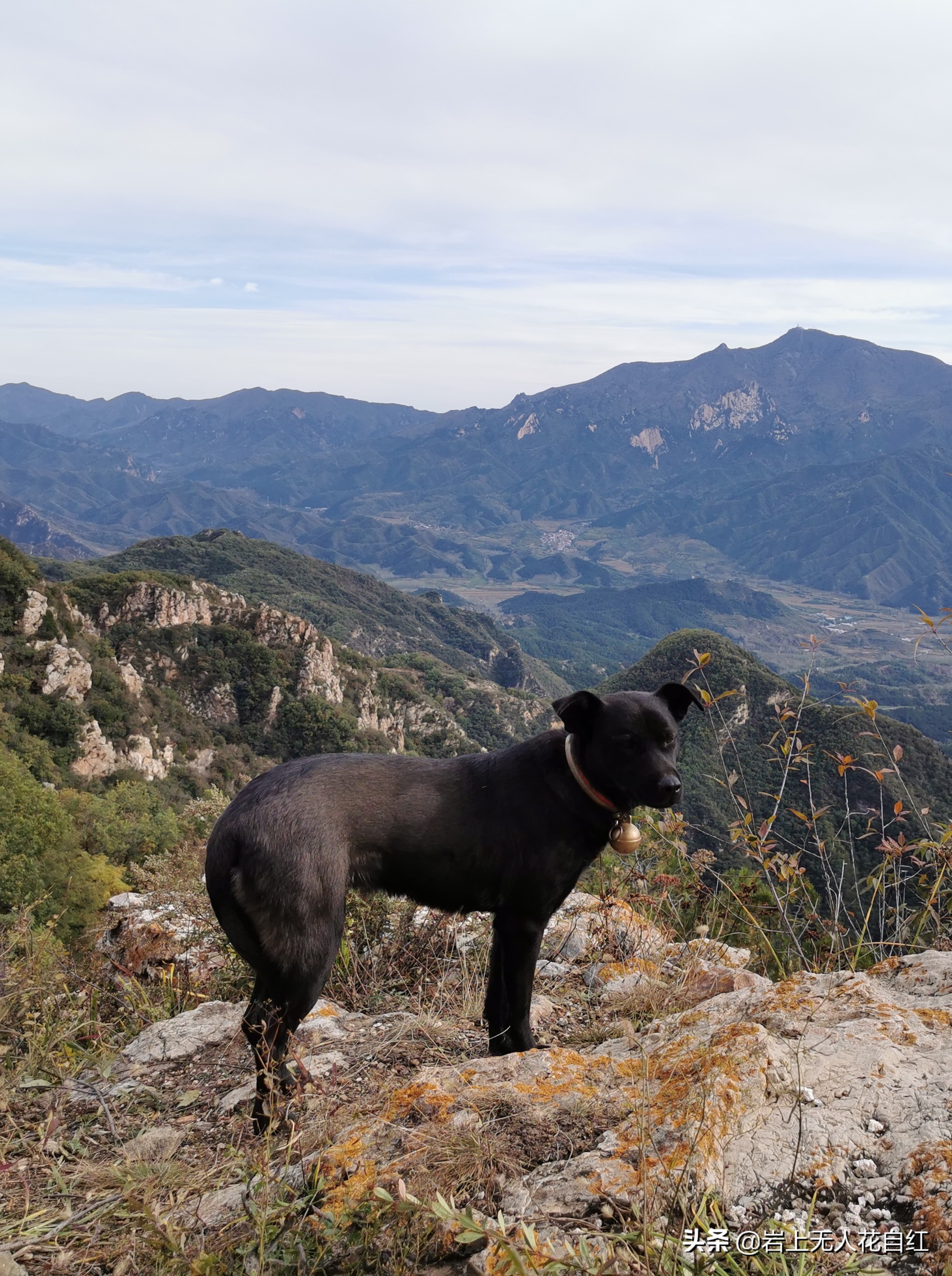 司马台东段长城之5：五道梁、倒班岭口之菱形楼、白头楼、水门洞