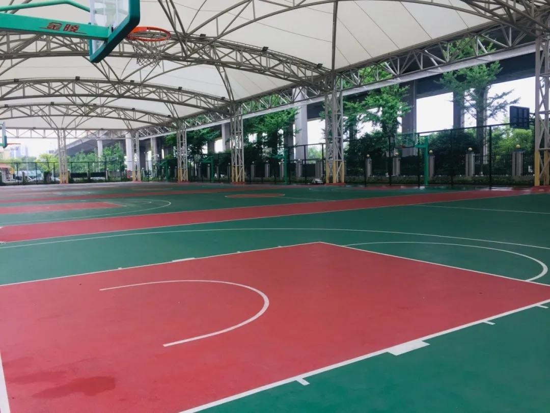 50个名额，拼手速“秒杀”！一群提前上岸的保送生连说“挖到宝了！”