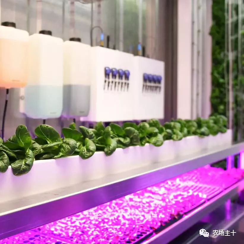 特点集装箱农场,集装箱打造农场建筑