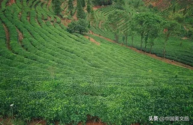 164家云南景区门票大全！