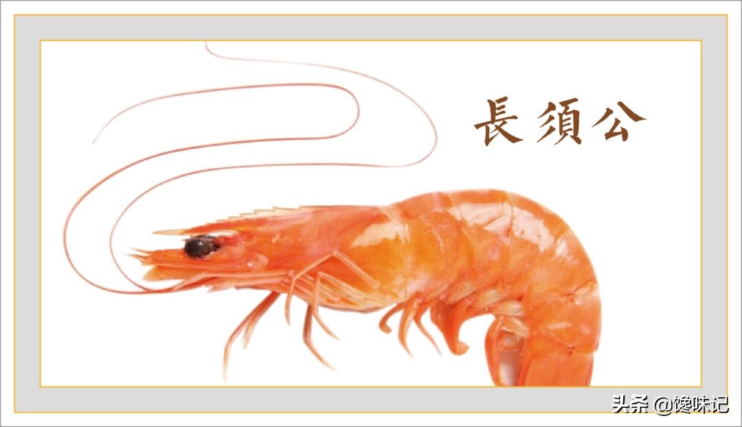 湛江人有鱼有虾,我们湛江属于广府还是客家