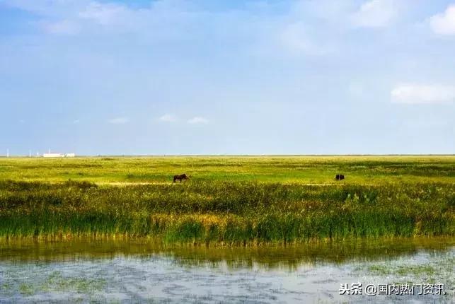 上海自驾游免费景点,2021上海亲子游必去的14个景点