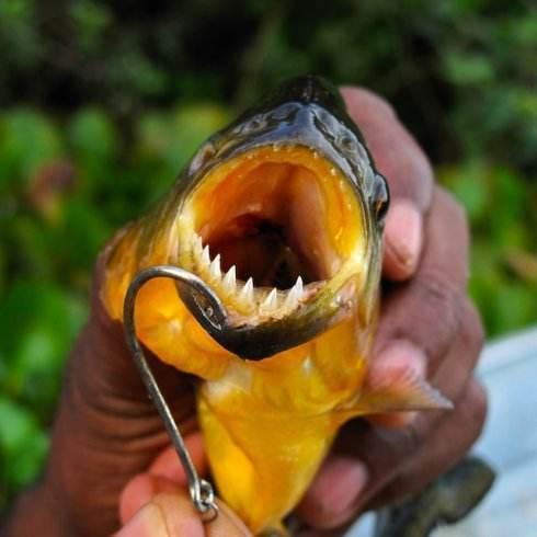 长相像外国人的汉族人,长相酷似中国人的印第安人