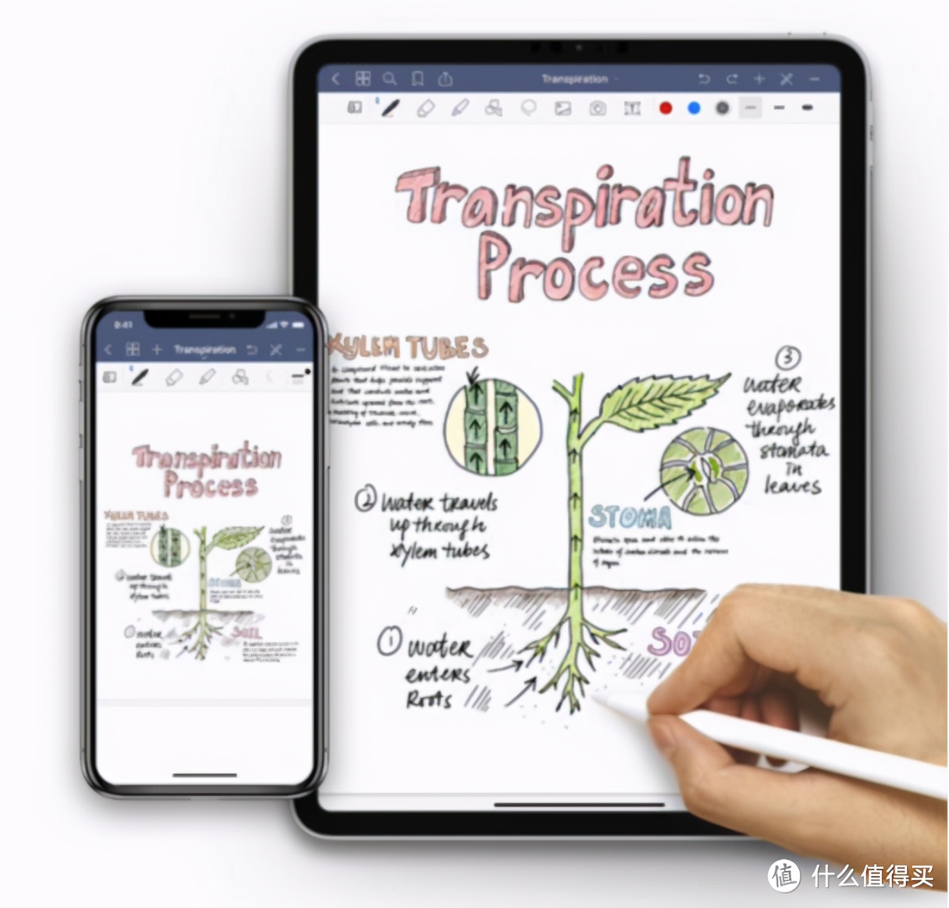 ipadpro最好用的配件,ipadpro2018和2020哪款比较实用