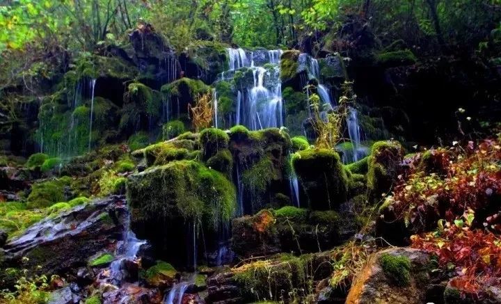 一泡而红！四川这座小城已火向全球，今天万人齐聚！