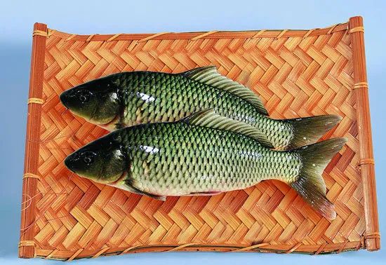 鲤鱼这样一锅炖简单下饭,鲤鱼最下饭的5种做法简单易学