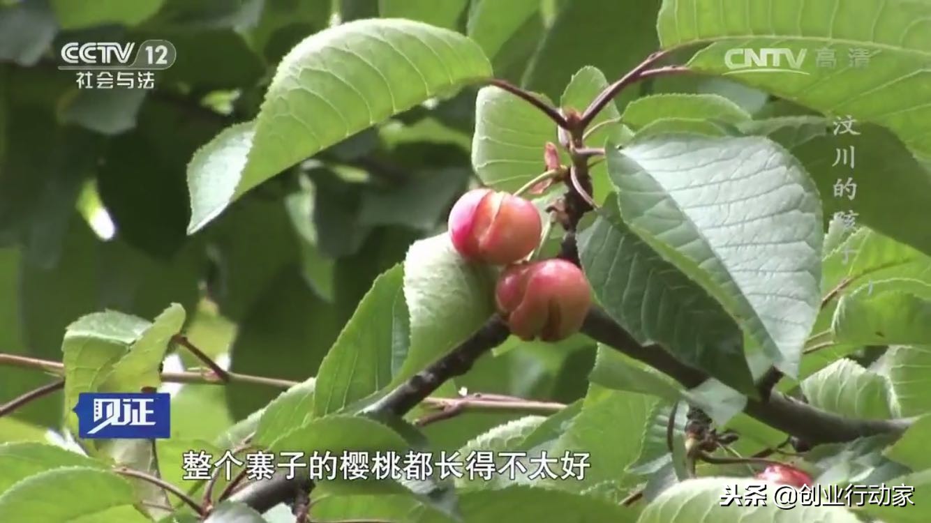 大学生扶贫创业，是否大有可为？让校园成为大学生创业的试验田！