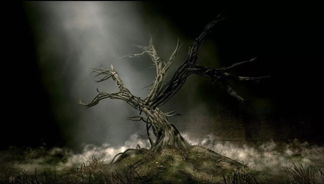 怎么样给孩子选择天文望远镜,孩子学天文地理