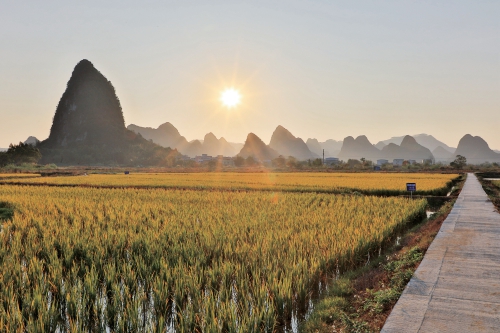 柳州螺蛳粉产业最新发展情况,柳州螺蛳粉产业近期发展前景