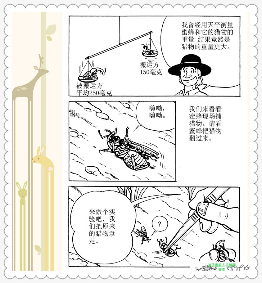 昆虫记法布尔动画片,昆虫记法布尔全套