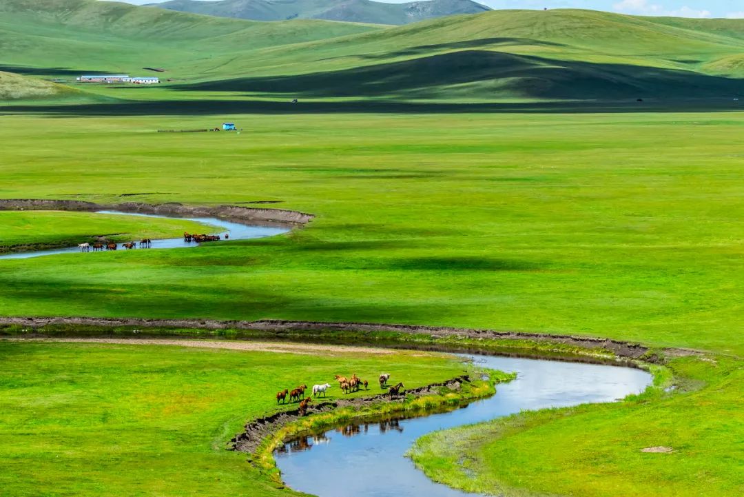 呼伦贝尔感受大自然的美好,呼伦贝尔终生难忘的草原