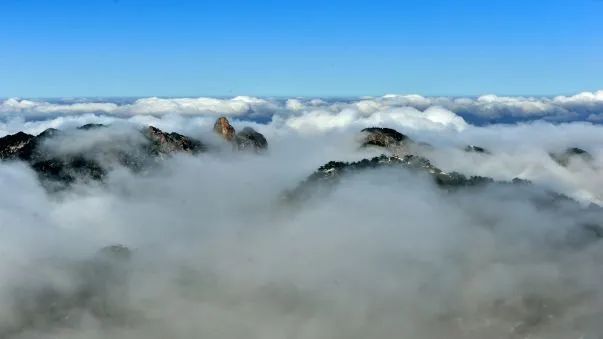 安徽黄山休宁流口虎泉景点,安徽徽州旅游景点简介黄山
