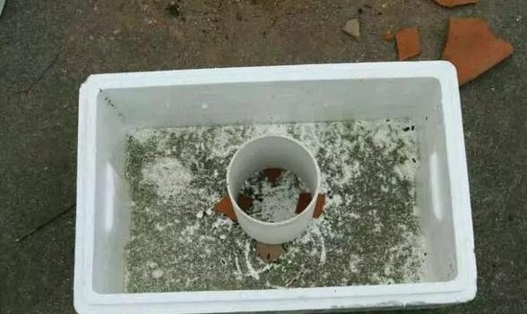 室内养花种菜工具箱,用泡沫箱可以做厨余垃圾堆肥水吗