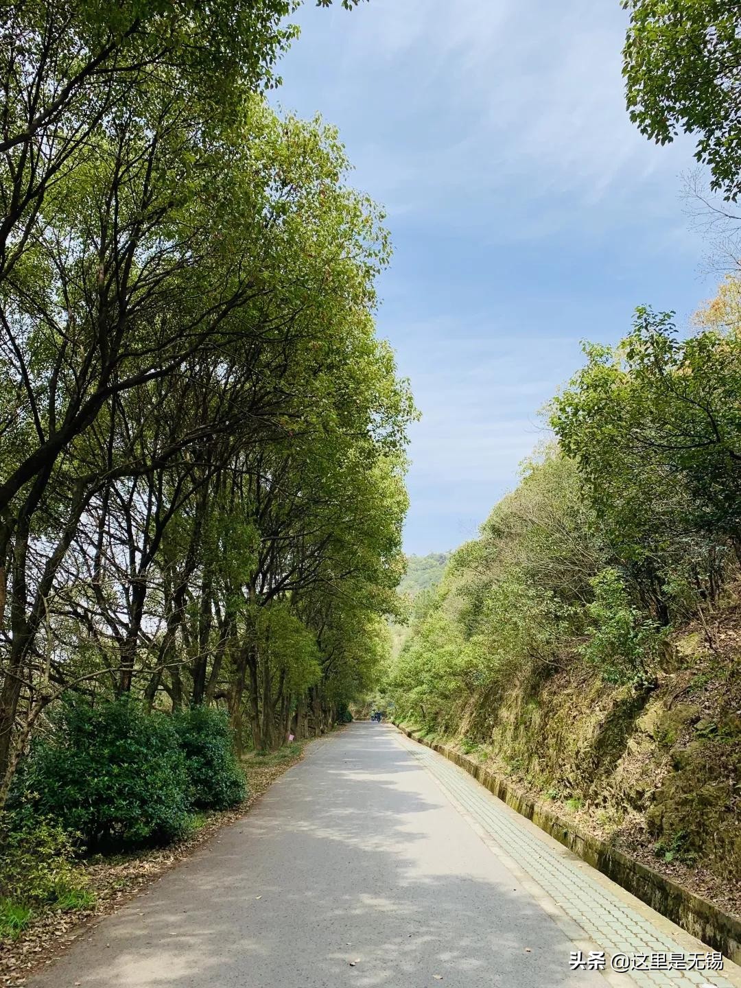 无锡秋游胜地最全推荐,无锡秋游自驾绝佳去处