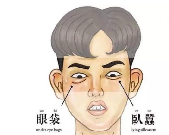 卧蚕和眼袋傻傻分不清的说说,眼袋卧蚕泪沟傻傻分不清楚