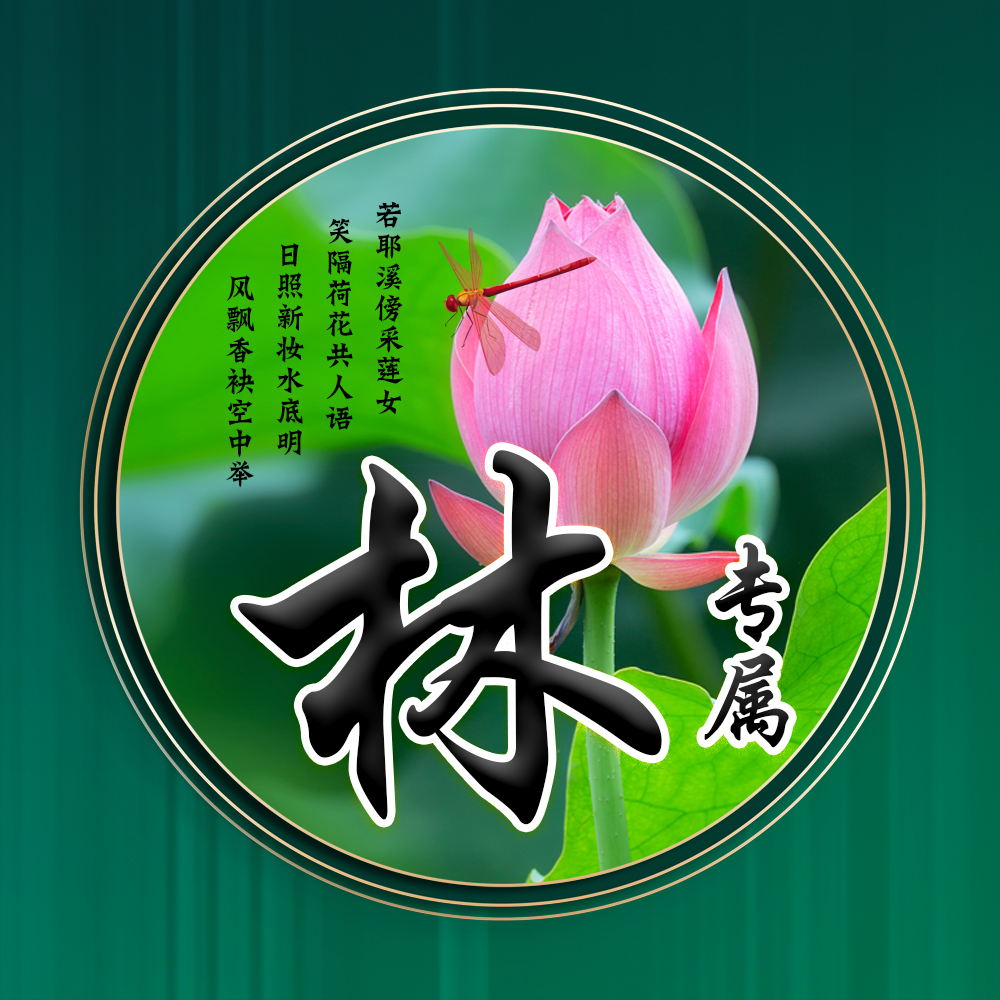 100张唯美荷花姓氏头像,适合做头像的荷花图片清晰点的