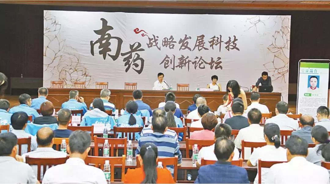 罗定龙湾镇最新规划,罗定龙湾乡村振兴