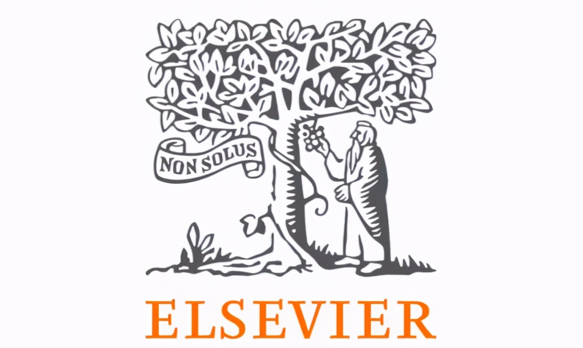 一个靠网友打钱活下来的盗版网站，何以被“封神”？