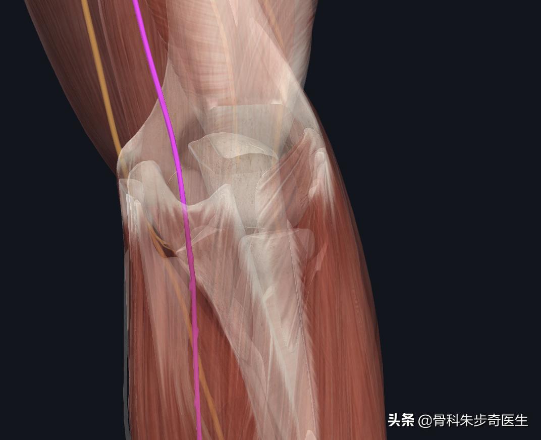 今天胳膊疼吃啥药,为什么胳膊有一阵一阵的痛