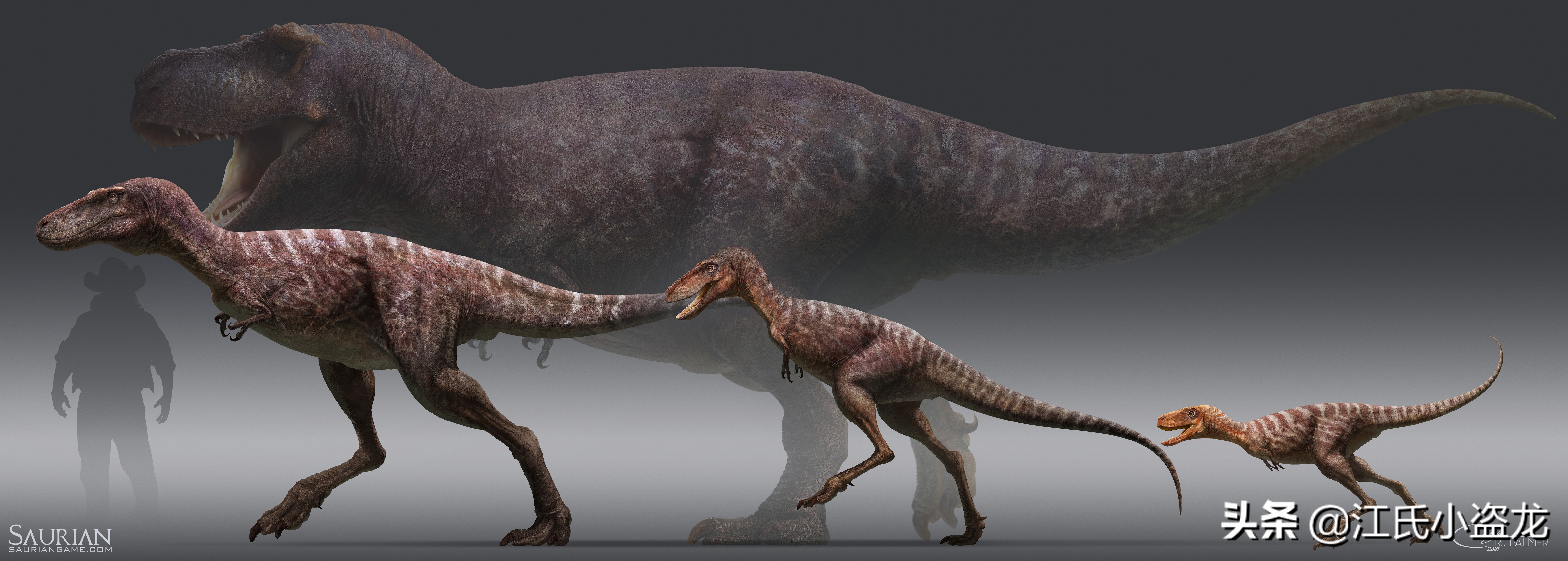 霸王龙在各时段的演化,霸王龙多大的时候可以独立