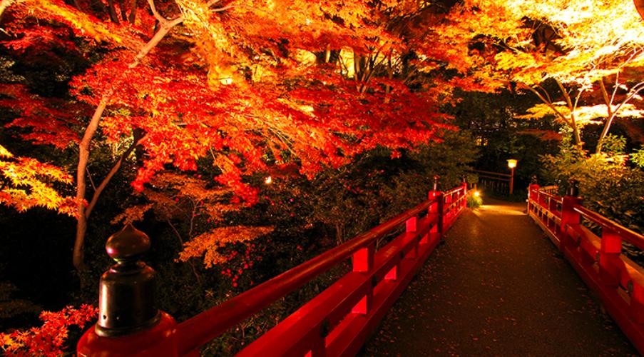 酒店也有“御花园”，住到里面赛神仙