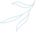 想报自考的人在哪找,想报自考去哪里报名